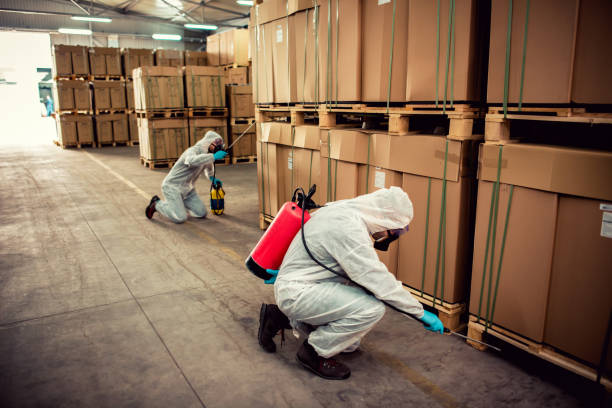 Wasp Removal Services in Scottdale, PA