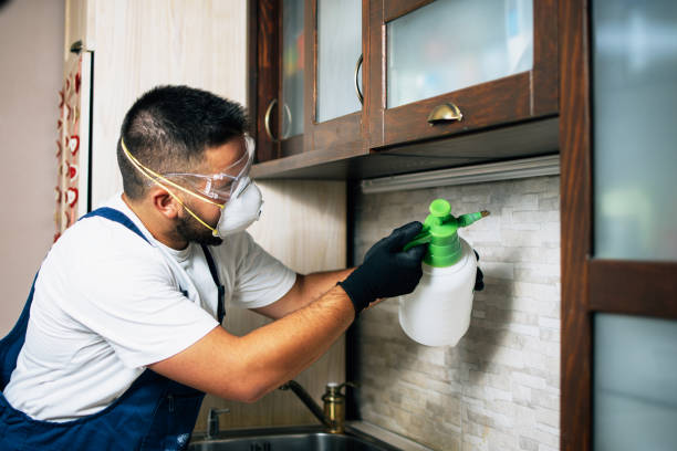 Best Exterminator Services  in Scottdale, PA