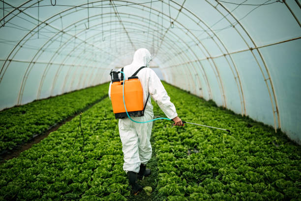 Best Pest Inspection Near Me  in Scottdale, PA
