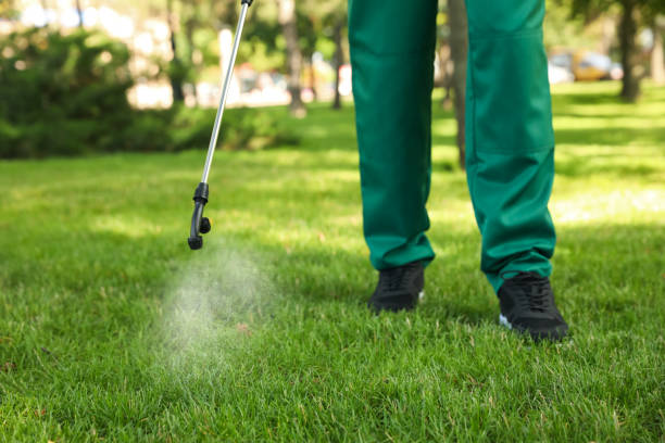 Wildlife Control Services in Scottdale, PA