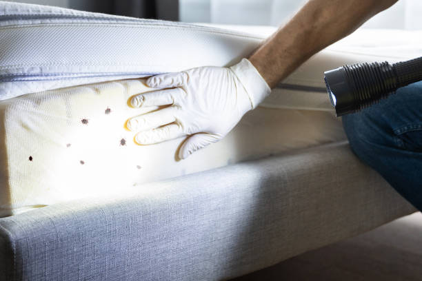 Pest Control for Restaurants in Scottdale, PA