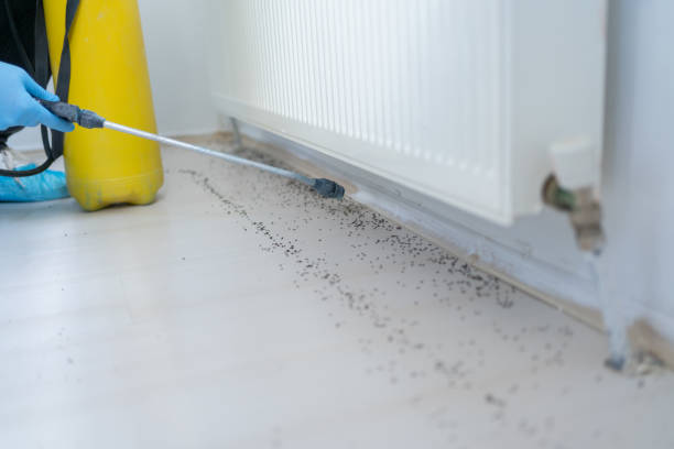 Best Residential Pest Control  in Scottdale, PA